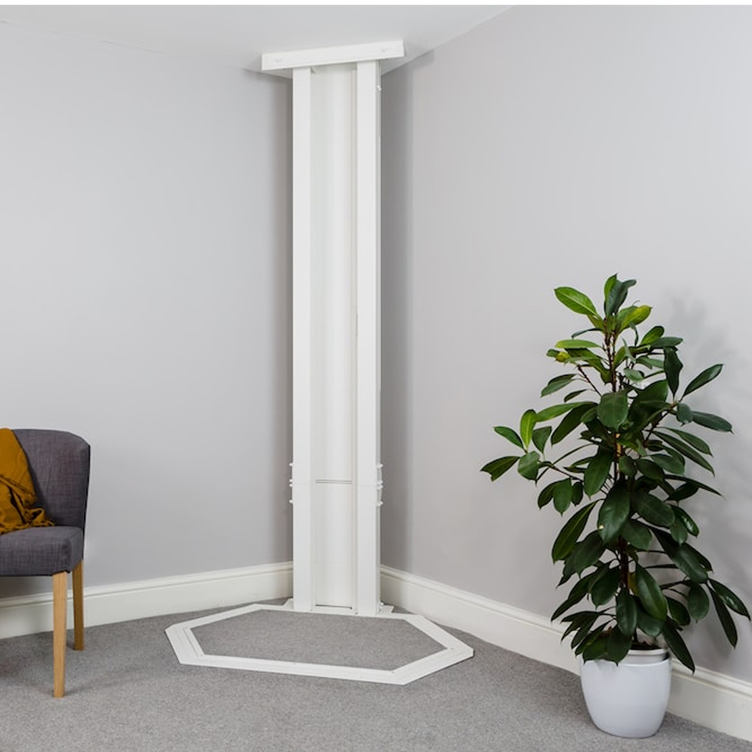 images for Through Floor Lift